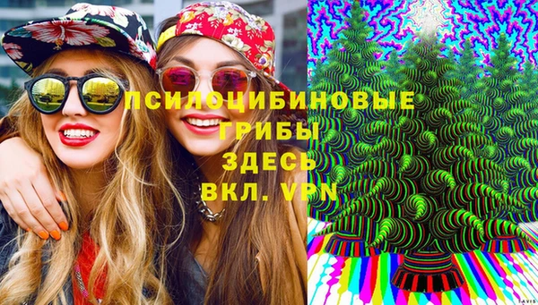 дживик Абаза
