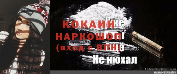 дживик Абаза